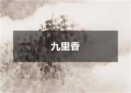 九里香