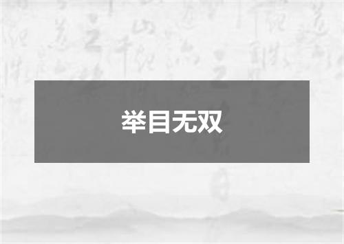 举目无双