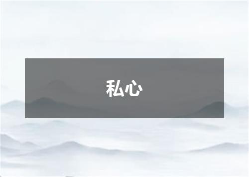 私心