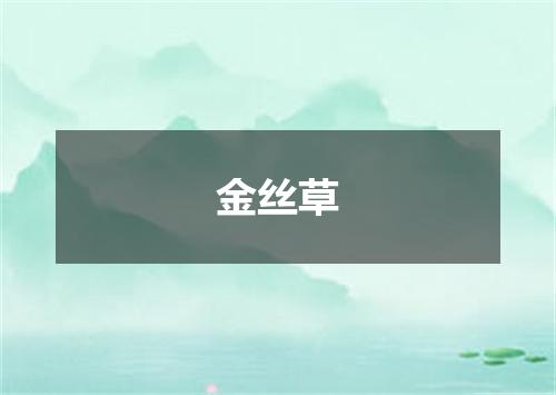 金丝草