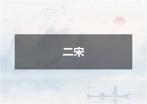 二宋