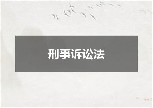 刑事诉讼法