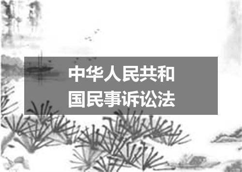 中华人民共和国民事诉讼法