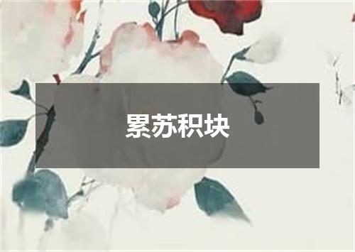 累苏积块