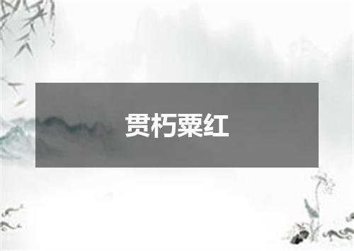 贯朽粟红