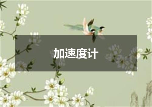 加速度计