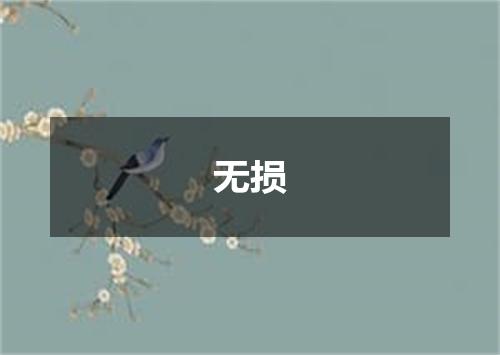 无损