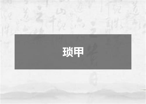 琐甲