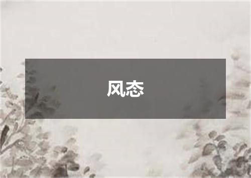 风态