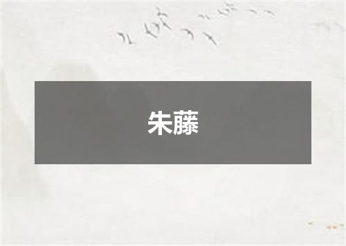 朱藤