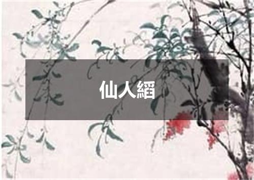 仙人縚