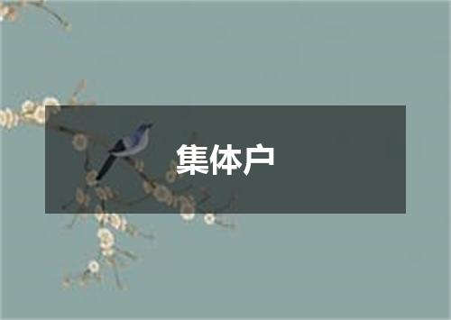 集体户