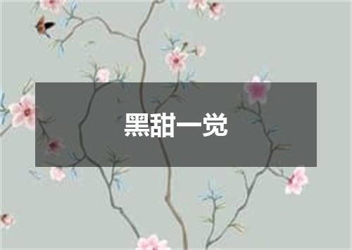 黑甜一觉