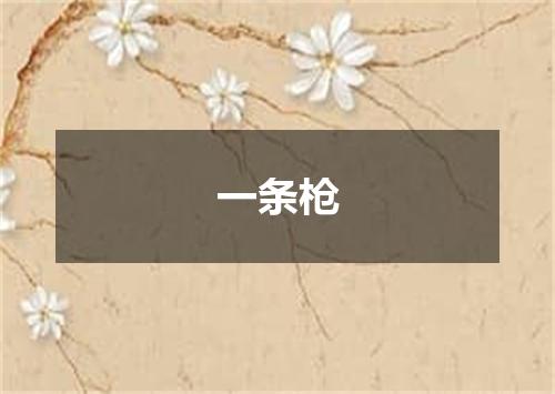 一条枪