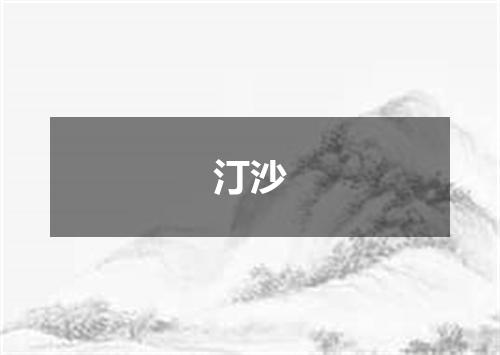 汀沙