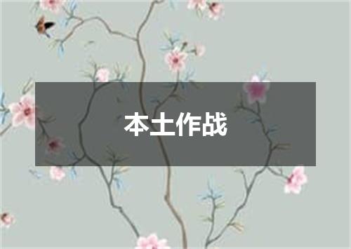本土作战