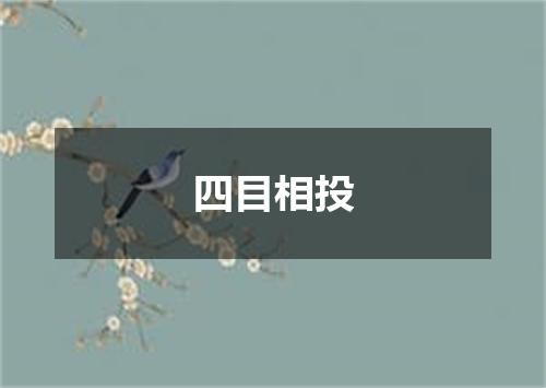 四目相投