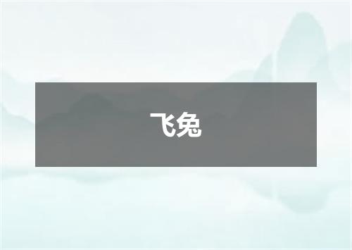 飞兔