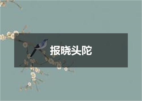 报晓头陀
