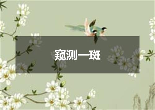 窥测一斑