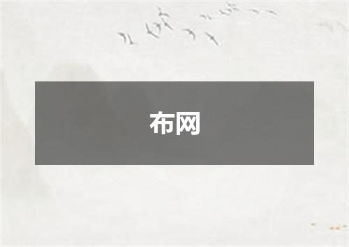 布网