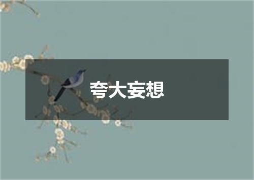 夸大妄想