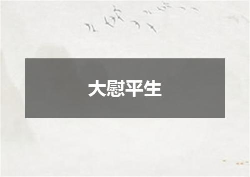 大慰平生