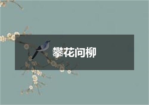 攀花问柳