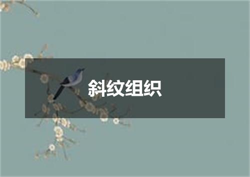 斜纹组织