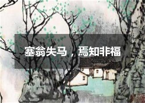 塞翁失马，焉知非福