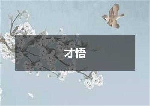 才悟