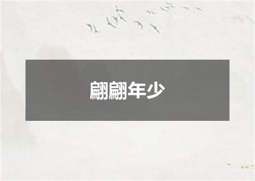 翩翩年少