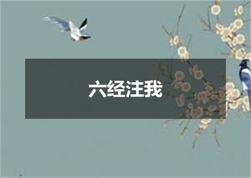 六经注我