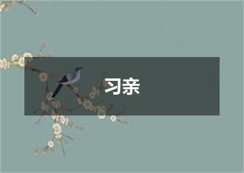 习亲