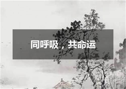 同呼吸，共命运