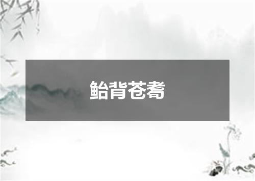 鲐背苍耈