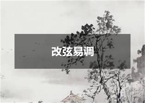 改弦易调