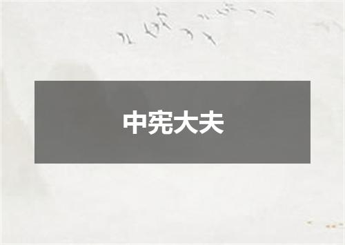 中宪大夫