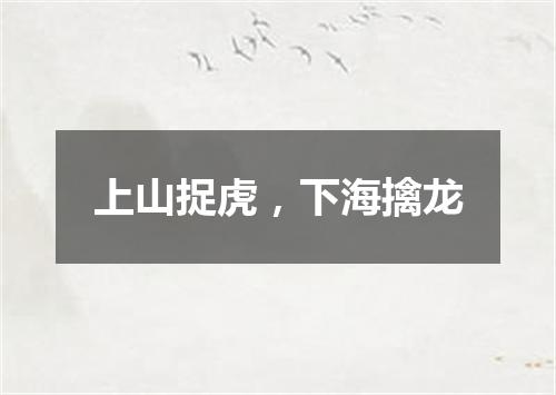 上山捉虎，下海擒龙