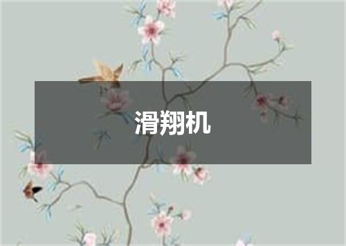 滑翔机