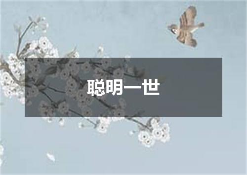 聪明一世