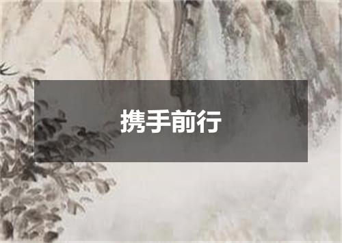 携手前行