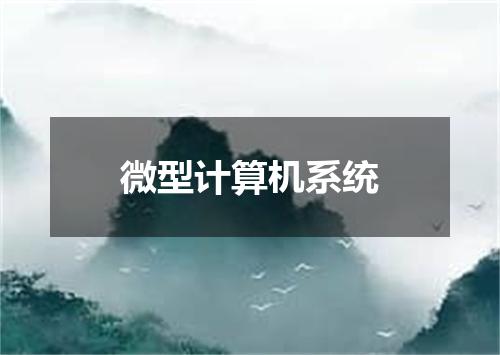 微型计算机系统