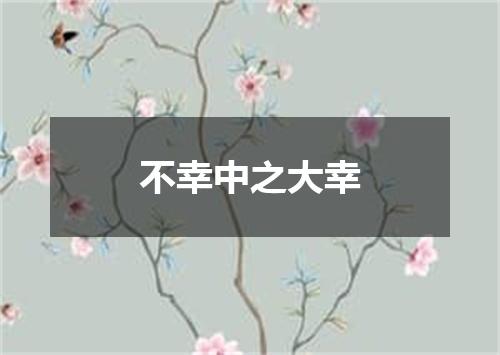 不幸中之大幸