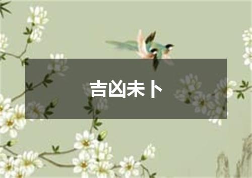 吉凶未卜