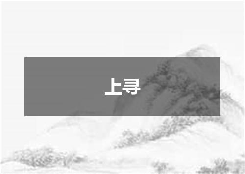 上寻