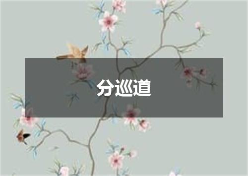 分巡道
