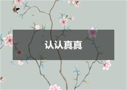 认认真真