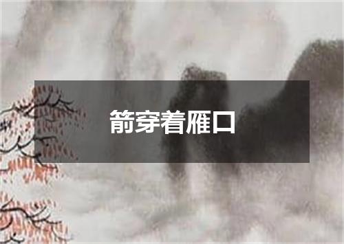 箭穿着雁口