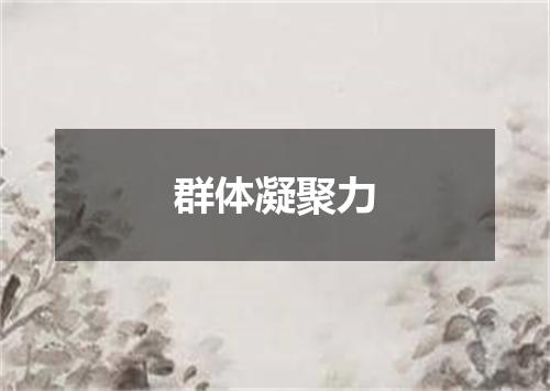 群体凝聚力